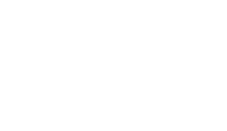 money goose